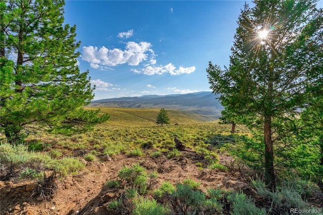 720 Carmen Rd, Twin Lakes, CO 81251 - photo 1