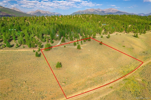 720 Carmen Rd, Twin Lakes, CO 81251 - photo 2