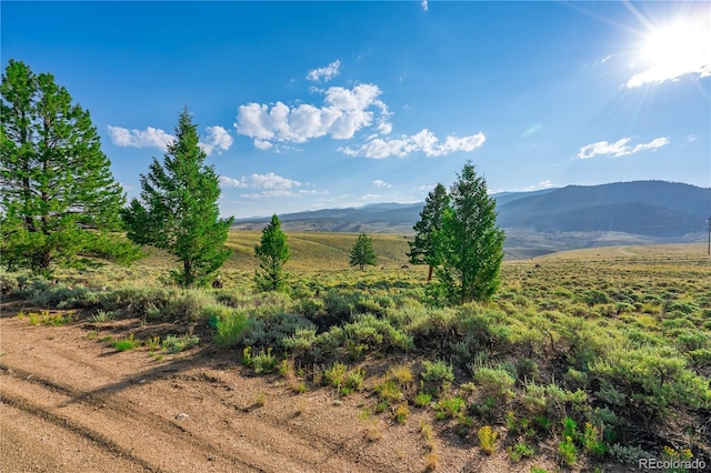 720 Carmen Rd, Twin Lakes, CO 81251 - photo 4