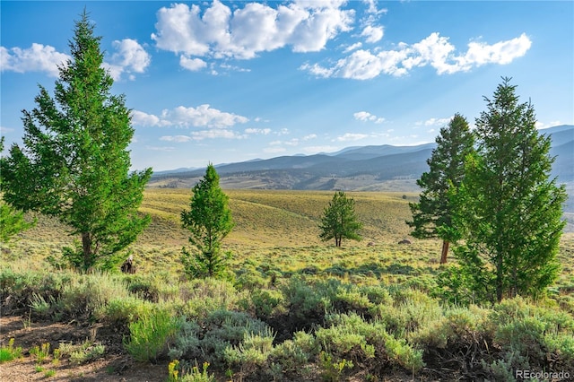 720 Carmen Rd, Twin Lakes, CO 81251 - photo 5
