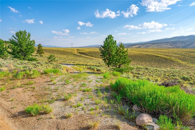 720 Carmen Rd, Twin Lakes, CO 81251 - photo 6