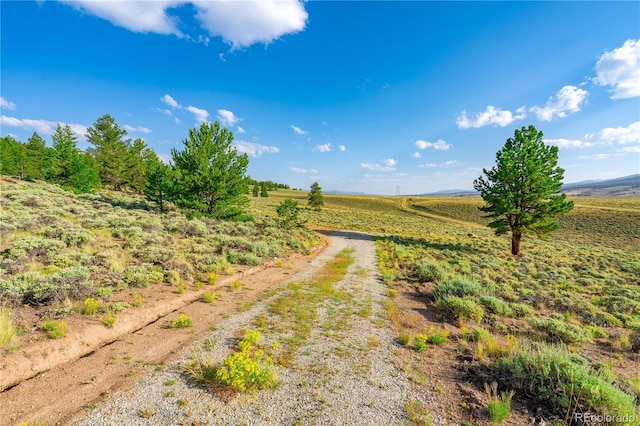 720 Carmen Rd, Twin Lakes, CO 81251 - photo 7