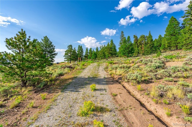 720 Carmen Rd, Twin Lakes, CO 81251 - photo 9