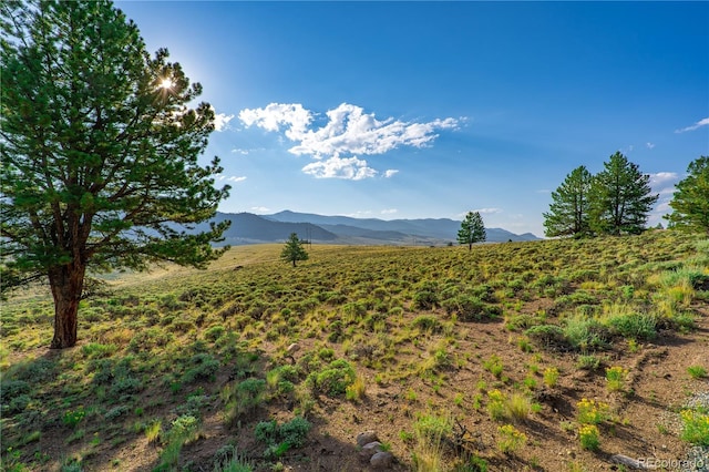 720 Carmen Rd, Twin Lakes, CO 81251 - photo 10