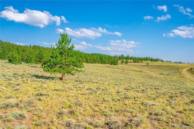 720 Carmen Rd, Twin Lakes, CO 81251 - photo 13