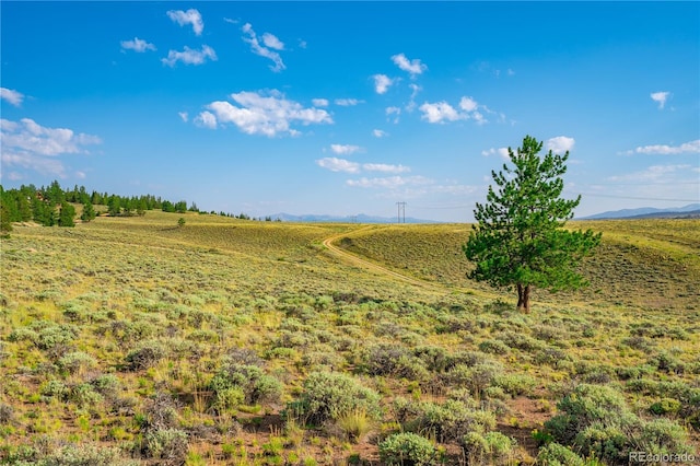 720 Carmen Rd, Twin Lakes, CO 81251 - photo 14