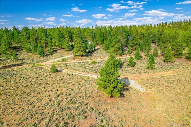 720 Carmen Rd, Twin Lakes, CO 81251 - photo 15