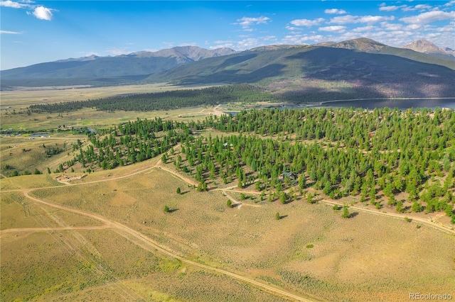 720 Carmen Rd, Twin Lakes, CO 81251 - photo 17