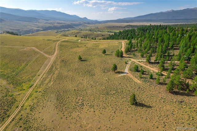 720 Carmen Rd, Twin Lakes, CO 81251 - photo 18