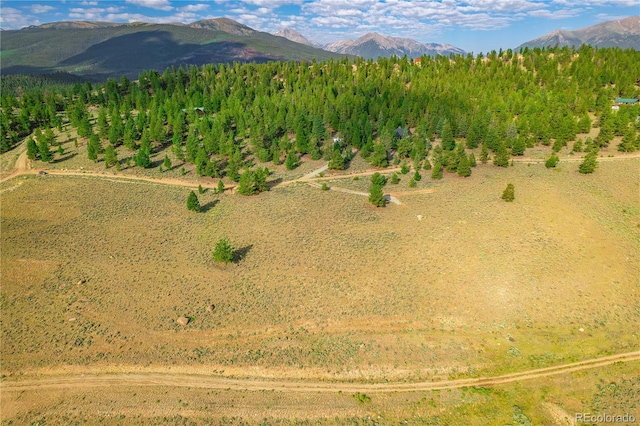 720 Carmen Rd, Twin Lakes, CO 81251 - photo 19