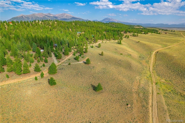 720 Carmen Rd, Twin Lakes, CO 81251 - photo 20