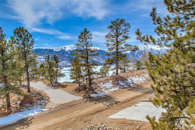 237 Twin Peaks Dr, Twin Lakes, CO 81251 - photo 11