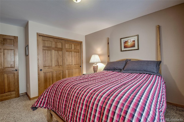 237 Twin Peaks Dr, Twin Lakes, CO 81251 - photo 28