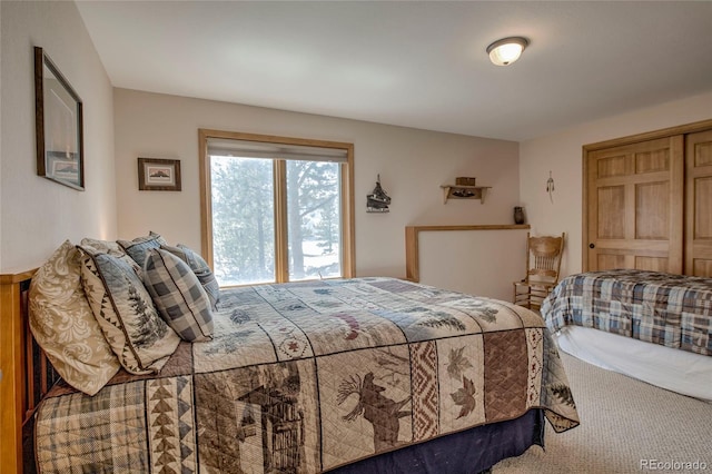 237 Twin Peaks Dr, Twin Lakes, CO 81251 - photo 44