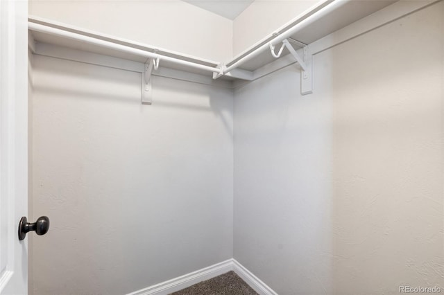 1510 York Rd Unit 100, Colorado Springs, CO 80918 - view of spacious closet