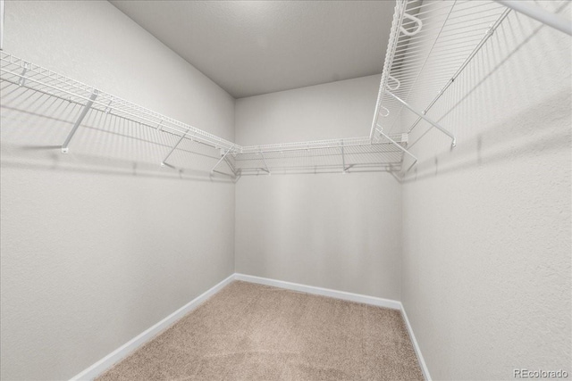 walk in closet with carpet