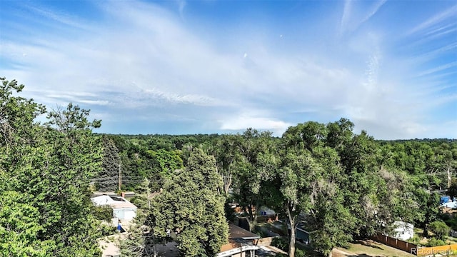 2829 Illinois Ave, Colorado Springs, CO 80907 - drone / aerial view of a forest