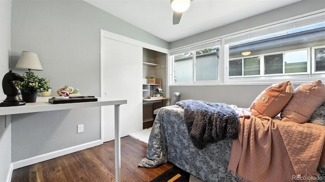 2829 Illinois Ave, Colorado Springs, CO 80907 - bedroom featuring wood finished floors and ceiling fan