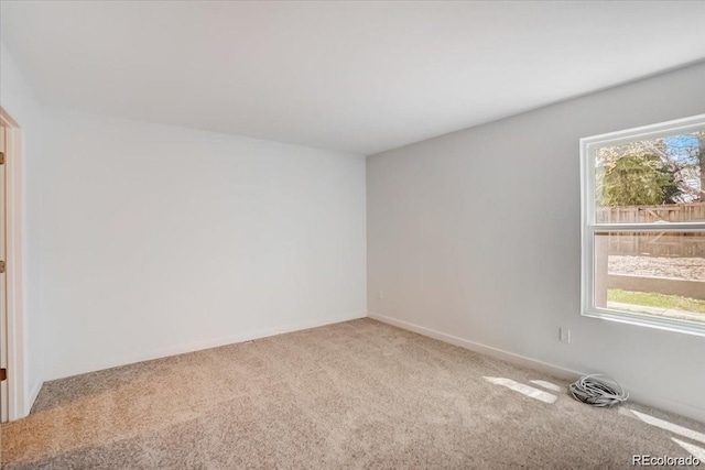 spare room with carpet and a wealth of natural light