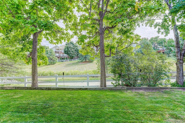 10032 Astoria Ct, Lone Tree, CO 80124 - view of yard