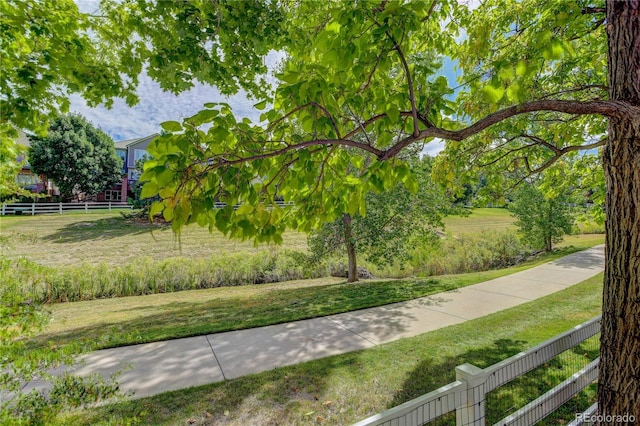 10032 Astoria Ct, Lone Tree, CO 80124 - photo 47
