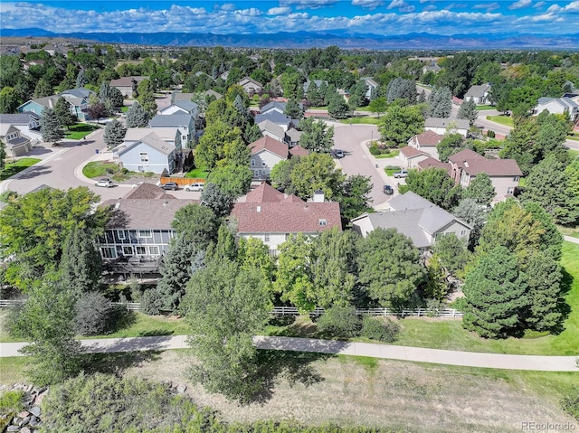 10032 Astoria Ct, Lone Tree, CO 80124 - photo 49