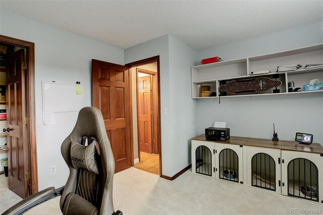 10059 Granite Hill Dr, Parker, CO 80134 - view of carpeted home office