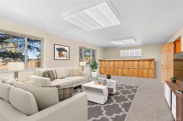 living room with carpet floors