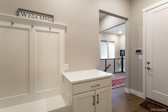 7022 Homeplace St, Castle Rock, CO 80108 - mudroom featuring dark wood-type flooring, baseboards, and a textured wall