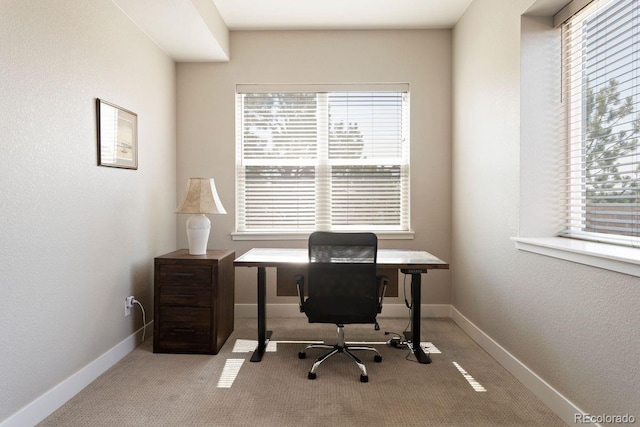 7022 Homeplace St, Castle Rock, CO 80108 - carpeted office with baseboards