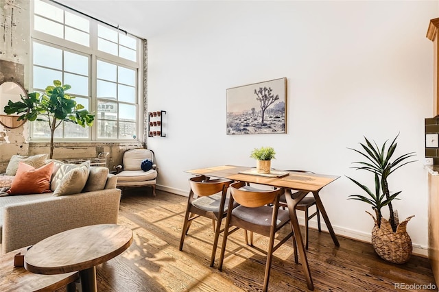 dining room featuring wood-type flooring