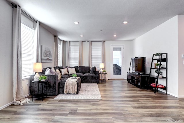 living room featuring wood-type flooring