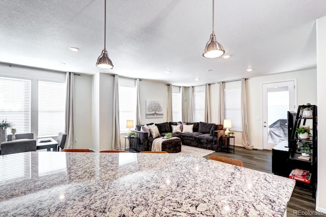 living room featuring dark wood-style floors and a textured ceiling