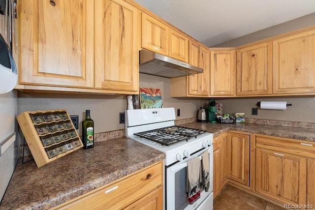 399 Gardenia Rd, Woodland Park, CO 80863 - kitchen with white gas stove, under cabinet range hood, and dark countertops