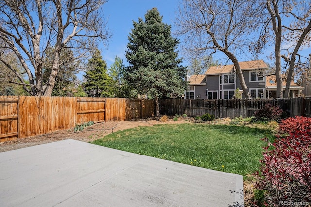 view of yard featuring a patio