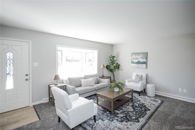 living room with a baseboard heating unit