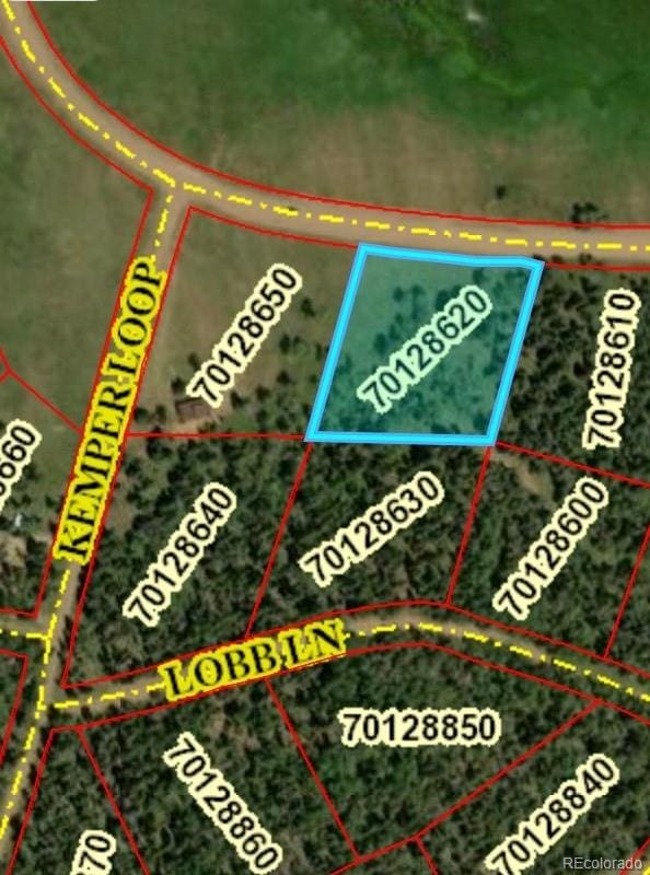 2941 Forbes Park Rd, Fort Garland, CO 81133 - photo 1