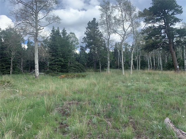 2941 Forbes Park Rd, Fort Garland, CO 81133 - photo 2