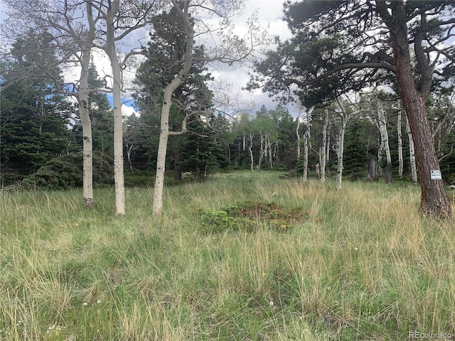 2941 Forbes Park Rd, Fort Garland, CO 81133 - photo 3
