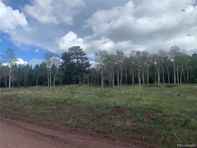 2941 Forbes Park Rd, Fort Garland, CO 81133 - photo 4
