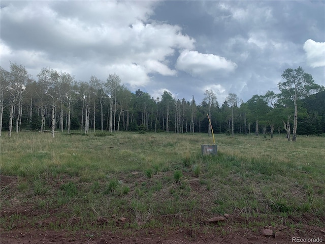 2941 Forbes Park Rd, Fort Garland, CO 81133 - photo 5