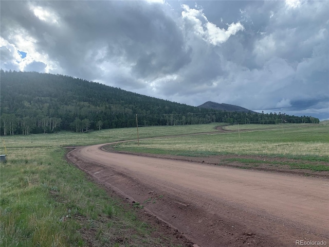 2941 Forbes Park Rd, Fort Garland, CO 81133 - photo 6