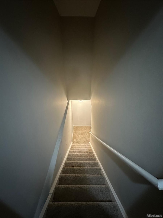 staircase featuring carpet