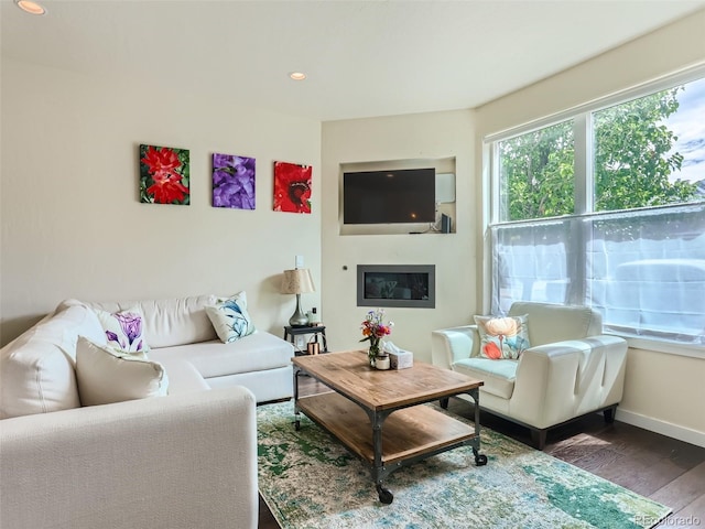 living room featuring dark hardwood / wood-style flooring