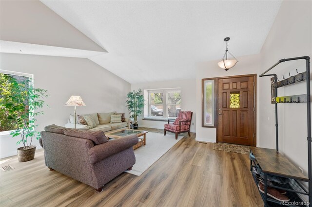 7226 S Eagles Nest Cir, Littleton, CO 80127 - living area featuring vaulted ceiling and light wood-type flooring