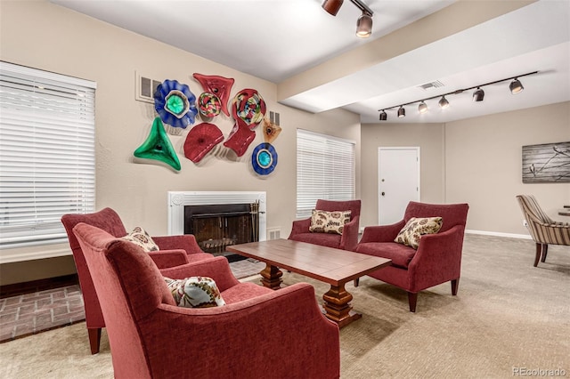 2301 E Fremont Ave Unit W08, Centennial, CO 80122 - living room featuring track lighting, carpet, and a fireplace