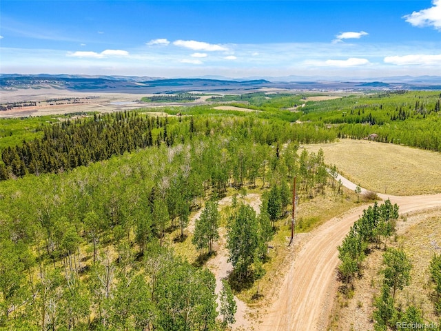 816 Little Baldy Cir, Fairplay, CO 80440