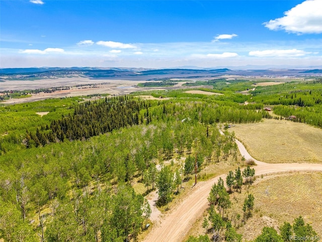 816 Little Baldy Cir, Fairplay, CO 80440