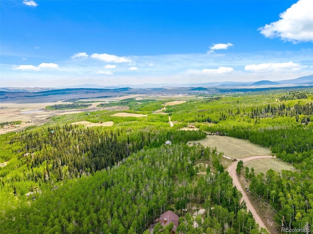 816 Little Baldy Cir, Fairplay, CO 80440