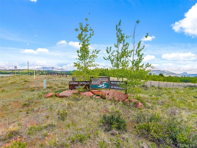 816 Little Baldy Cir, Fairplay, CO 80440